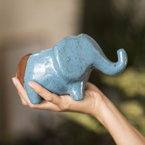 Hipó Vaso Planta Elefante Buda