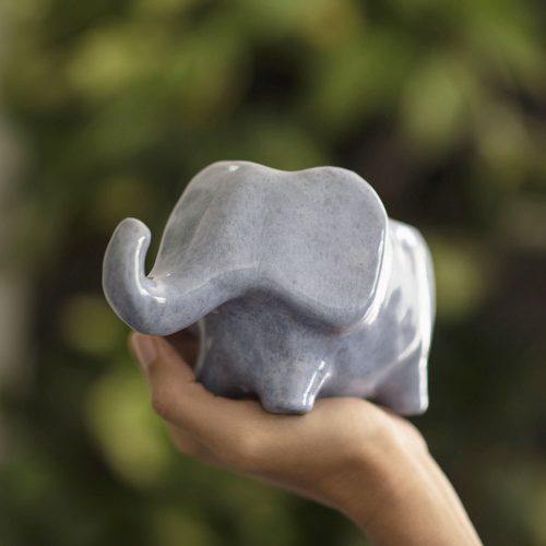 Hipó - Vaso Planta Elefante Buda